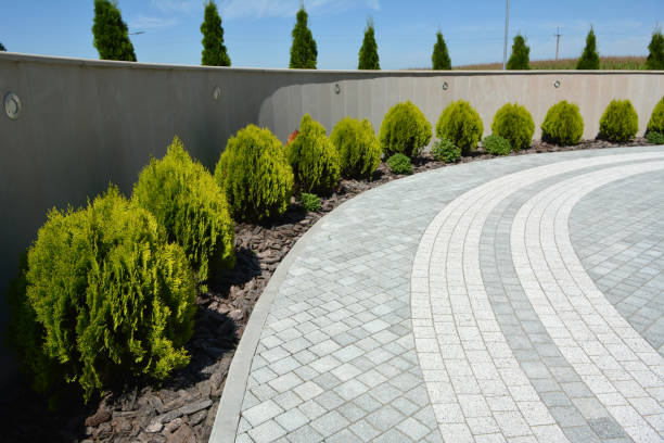 Reasons to Select Us for Your Driveway Paving Requirements in Holliday, TX